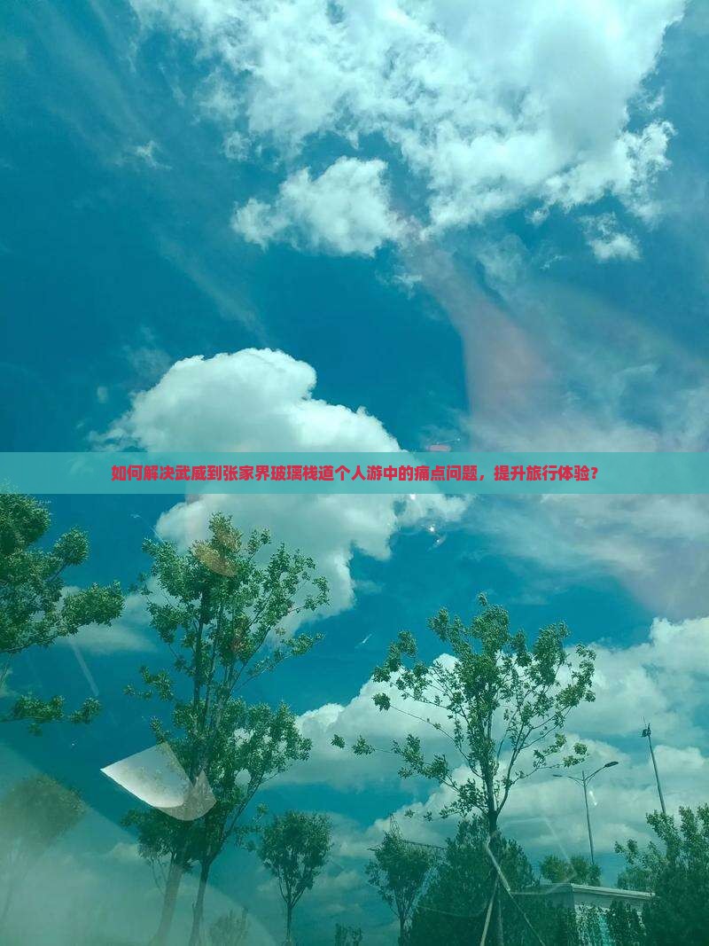 如何解决武威到张家界玻璃栈道个人游中的痛点问题，提升旅行体验？