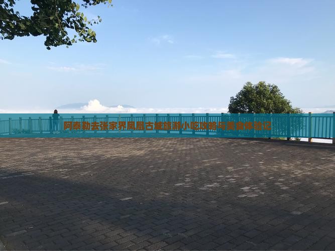阿泰勒去张家界凤凰古城旅游小吃攻略与美食体验记