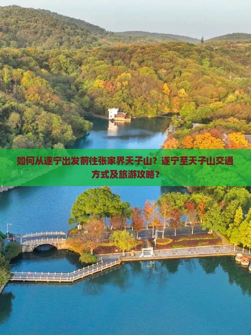 如何从遂宁出发前往张家界天子山？遂宁至天子山交通方式及旅游攻略？