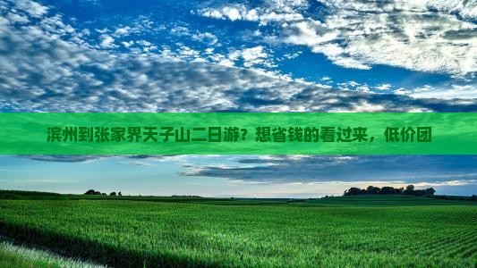 滨州到张家界天子山二日游？想省钱的看过来，低价团