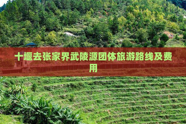 十堰去张家界武陵源团体旅游路线及费用