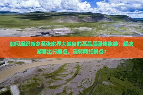 如何组织新乡至张家界大峡谷的高品质团体旅游，解决游客出行痛点，玩转网红景点？