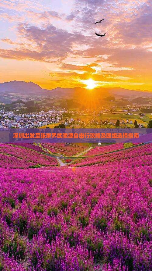 深圳出发至张家界武陵源自由行攻略及团组选择指南
