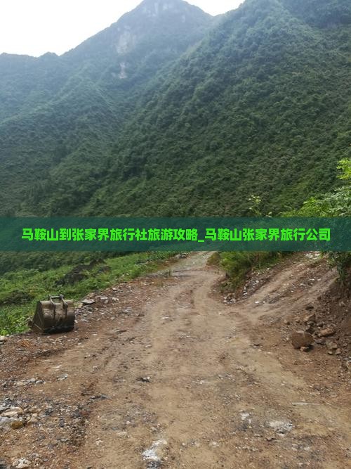 马鞍山到张家界旅行社旅游攻略_马鞍山张家界旅行公司