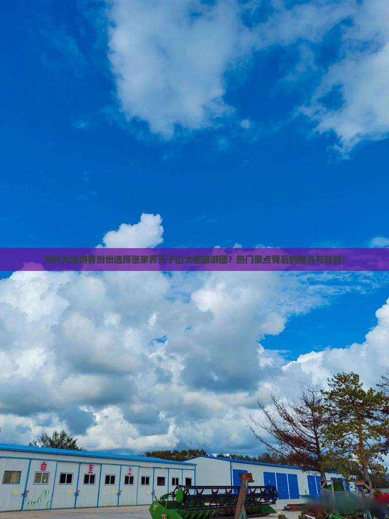 为何大连游客纷纷选择张家界天子山大型旅游团？热门景点背后的痛点与趋势！