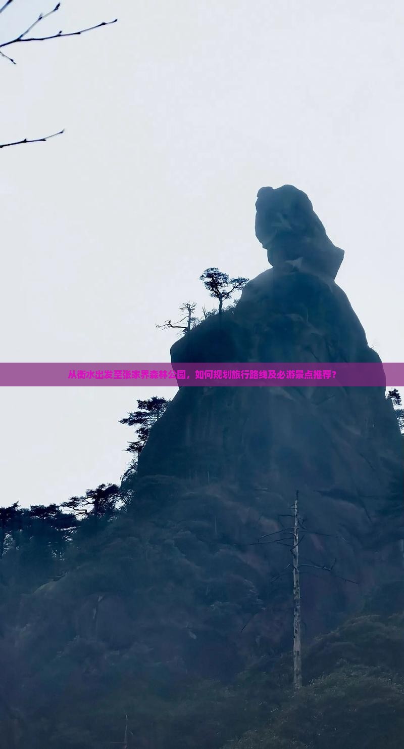 从衡水出发至张家界森林公园，如何规划旅行路线及必游景点推荐？
