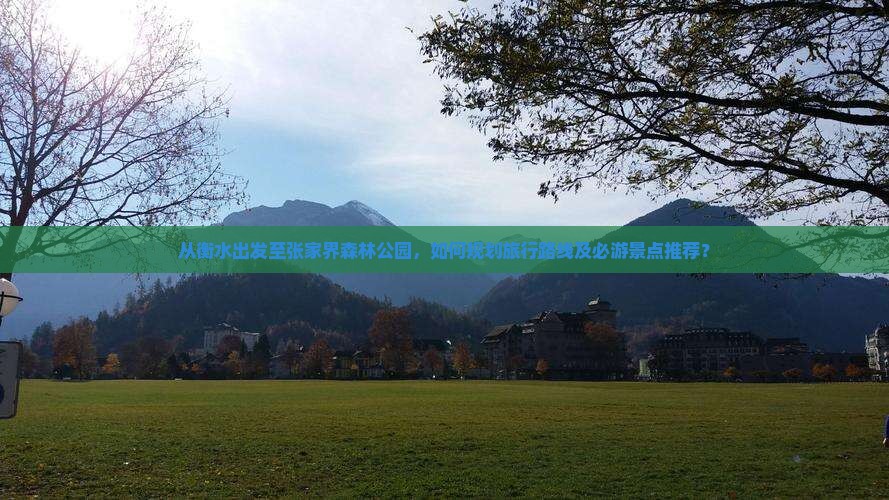 从衡水出发至张家界森林公园，如何规划旅行路线及必游景点推荐？