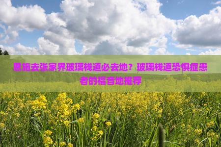 恩施去张家界玻璃栈道必去地？玻璃栈道恐惧症患者的福音地推荐