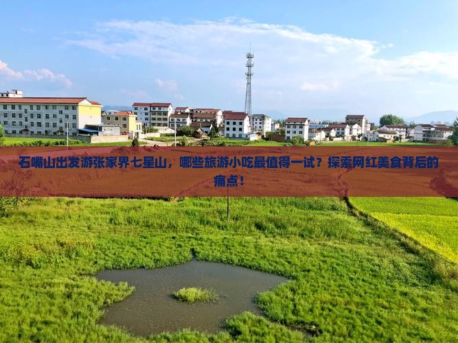 石嘴山出发游张家界七星山，哪些旅游小吃最值得一试？探索网红美食背后的痛点！