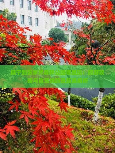 咸宁到张家界森林公园哪里玩：旅游攻略与自驾线路及距离解析
