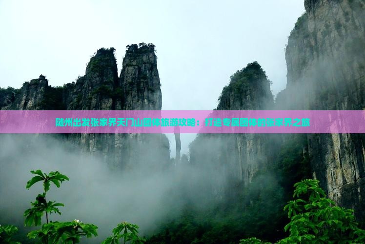 随州出发张家界天门山团体旅游攻略：打造专属团体的张家界之旅