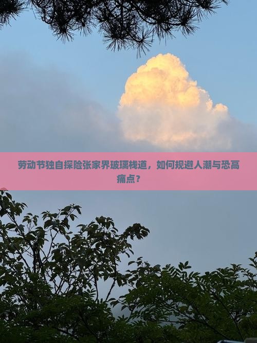 劳动节独自探险张家界玻璃栈道，如何规避人潮与恐高痛点？