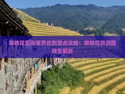 攀枝花至张家界花到景点攻略：攀枝花旅游路线全解析