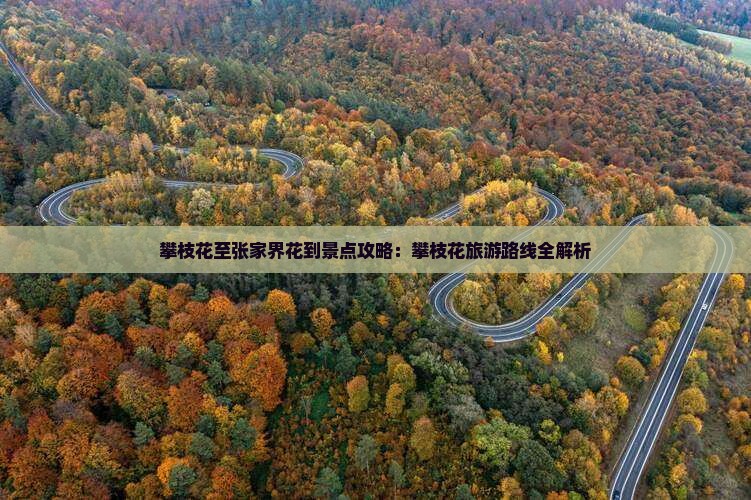 攀枝花至张家界花到景点攻略：攀枝花旅游路线全解析