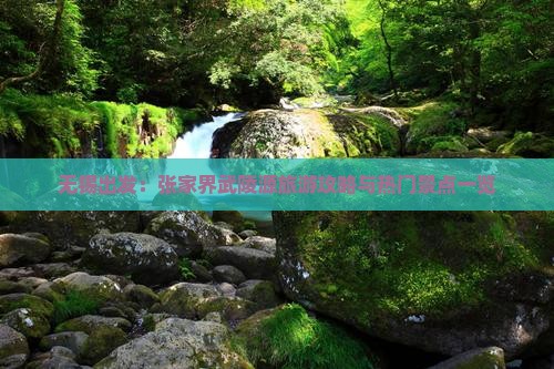 无锡出发：张家界武陵源旅游攻略与热门景点一览