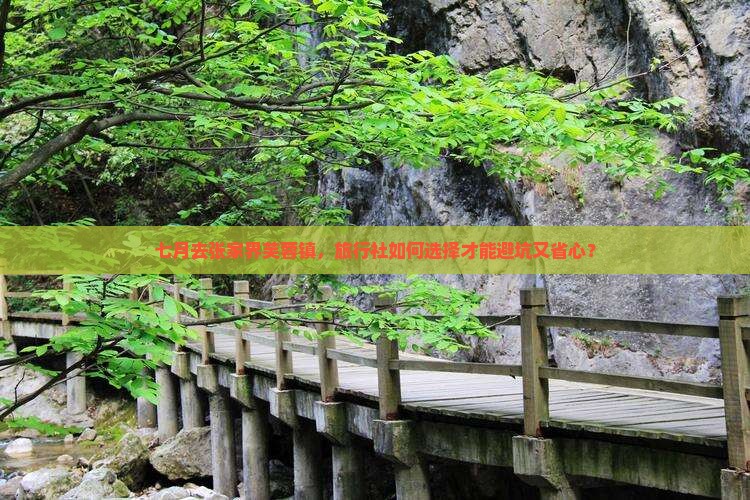 七月去张家界芙蓉镇，旅行社如何选择才能避坑又省心？
