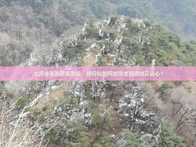 七月去张家界芙蓉镇，旅行社如何选择才能避坑又省心？
