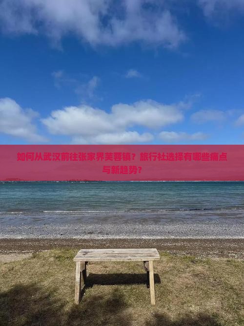 如何从武汉前往张家界芙蓉镇？旅行社选择有哪些痛点与新趋势？