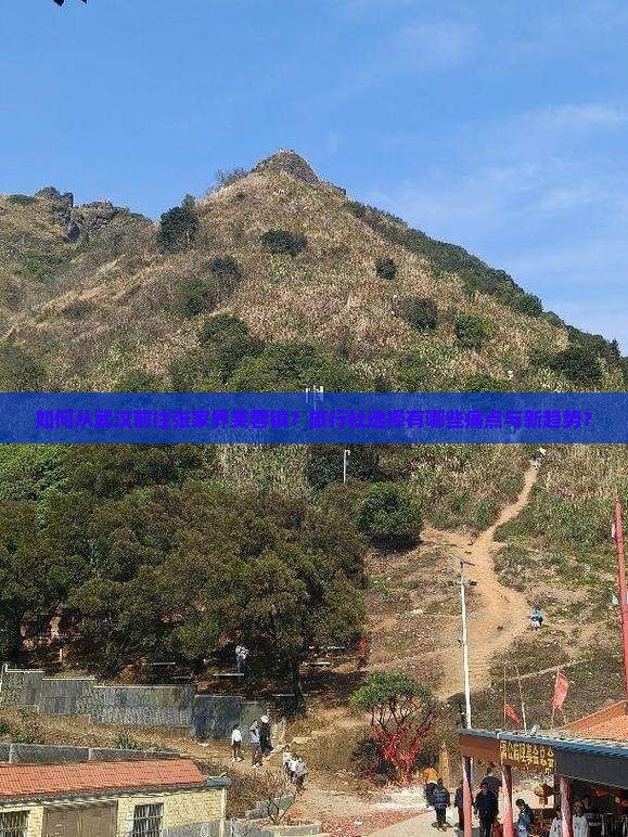 如何从武汉前往张家界芙蓉镇？旅行社选择有哪些痛点与新趋势？