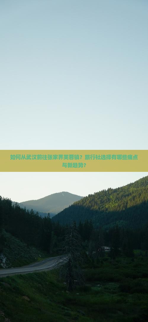 如何从武汉前往张家界芙蓉镇？旅行社选择有哪些痛点与新趋势？