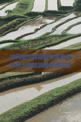 如何组织绵阳至张家界袁家界大型旅游团以避开高峰拥堵和提升游客体验？