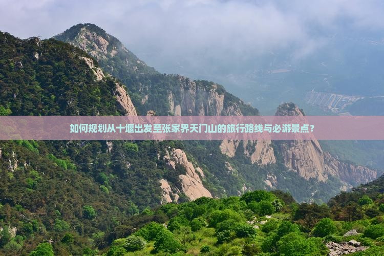 如何规划从十堰出发至张家界天门山的旅行路线与必游景点？