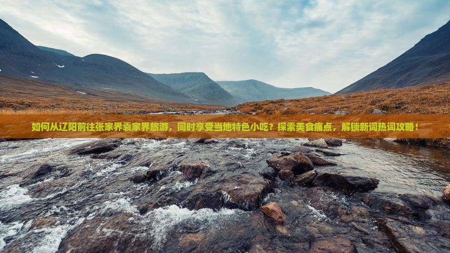 如何从辽阳前往张家界袁家界旅游，同时享受当地特色小吃？探索美食痛点，解锁新词热词攻略！