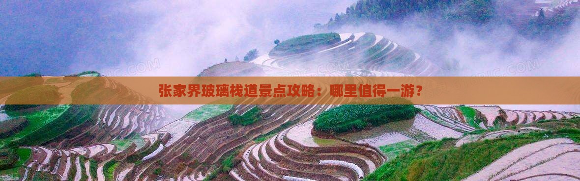 张家界玻璃栈道景点攻略：哪里值得一游？