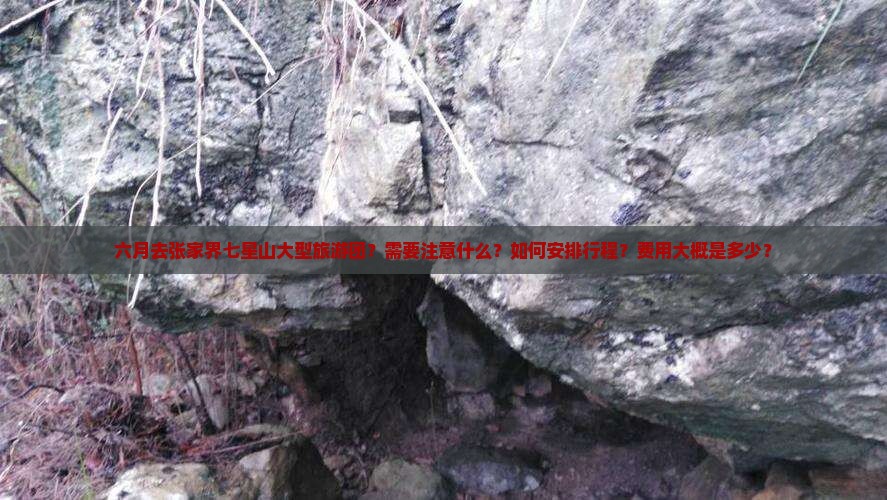 六月去张家界七星山大型旅游团?需要注意什么?如何安排行程?费用大概是多少? 六月去张家界七星山大型旅游团?需要注意什么?如何安排行程?费用大概是多少?