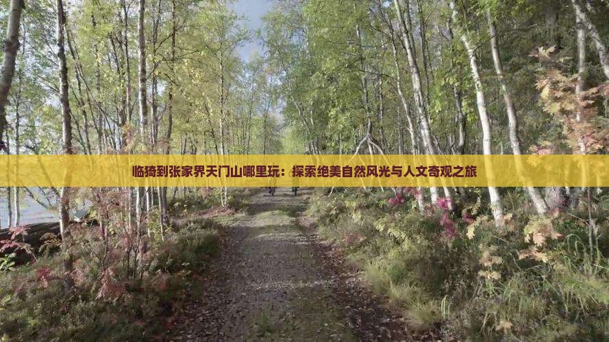 临猗到张家界天门山哪里玩：探索绝美自然风光与人文奇观之旅