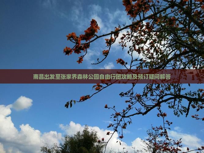 南昌出发至张家界森林公园自由行团攻略及预订疑问解答