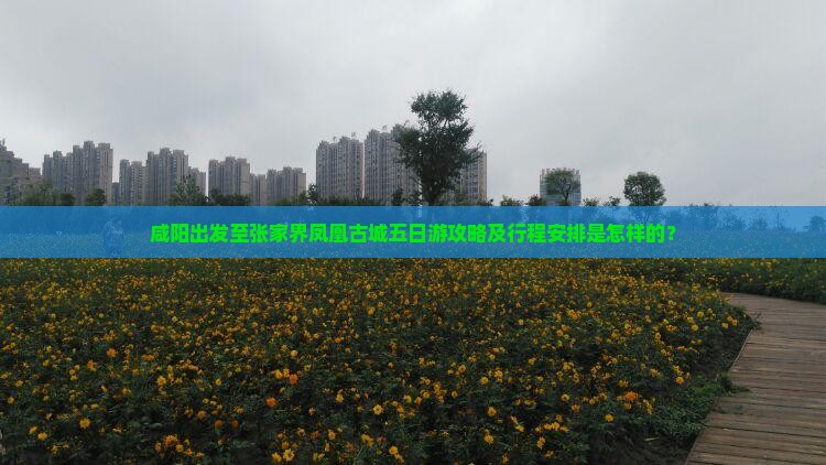 咸阳出发至张家界凤凰古城五日游攻略及行程安排是怎样的? 咸阳出发至张家界凤凰古城五日游攻略及行程安排是怎样的?