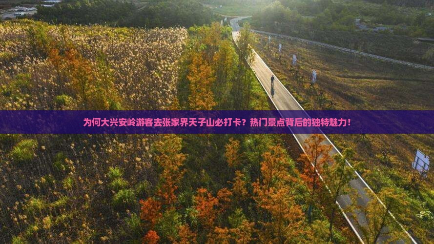 为何大兴安岭游客去张家界天子山必打卡？热门景点背后的独特魅力！