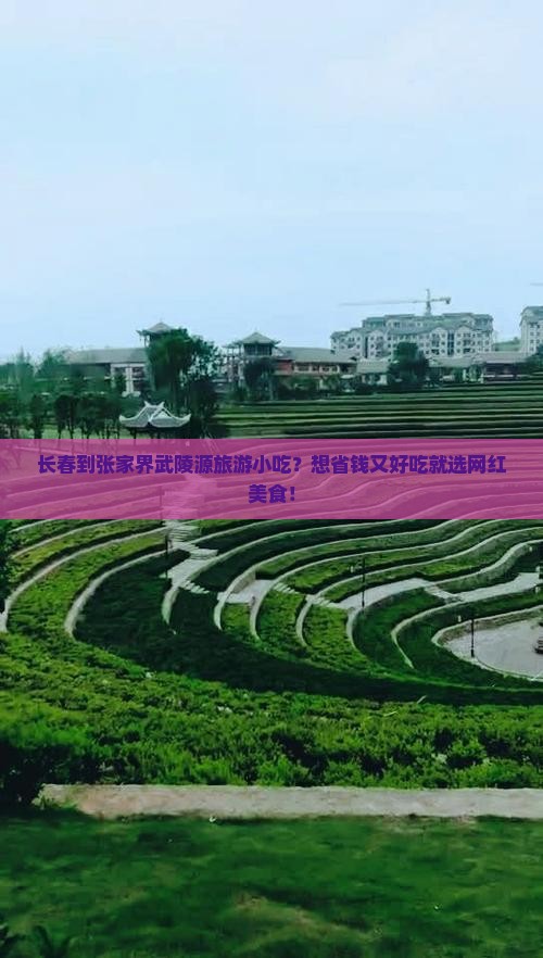 长春到张家界武陵源旅游小吃？想省钱又好吃就选网红美食！