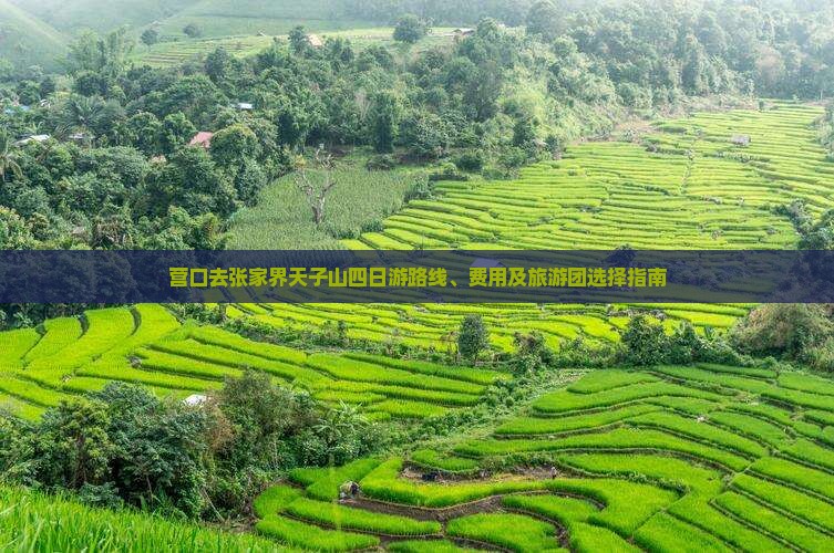 营口去张家界天子山四日游路线、费用及旅游团选择指南