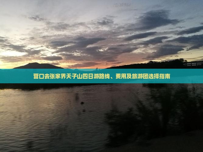 营口去张家界天子山四日游路线、费用及旅游团选择指南