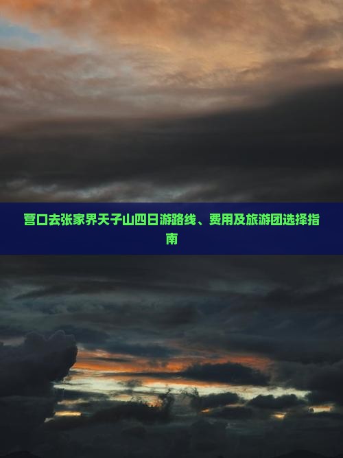 营口去张家界天子山四日游路线、费用及旅游团选择指南