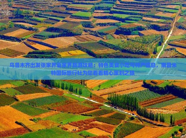 乌鲁木齐出发张家界袁家界旅游攻略：特色美食小吃与特产信息，南昌米特国际旅行社为您看看精心策划之旅