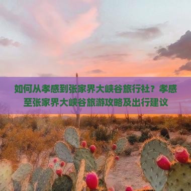 如何从孝感到张家界大峡谷旅行社？孝感至张家界大峡谷旅游攻略及出行建议