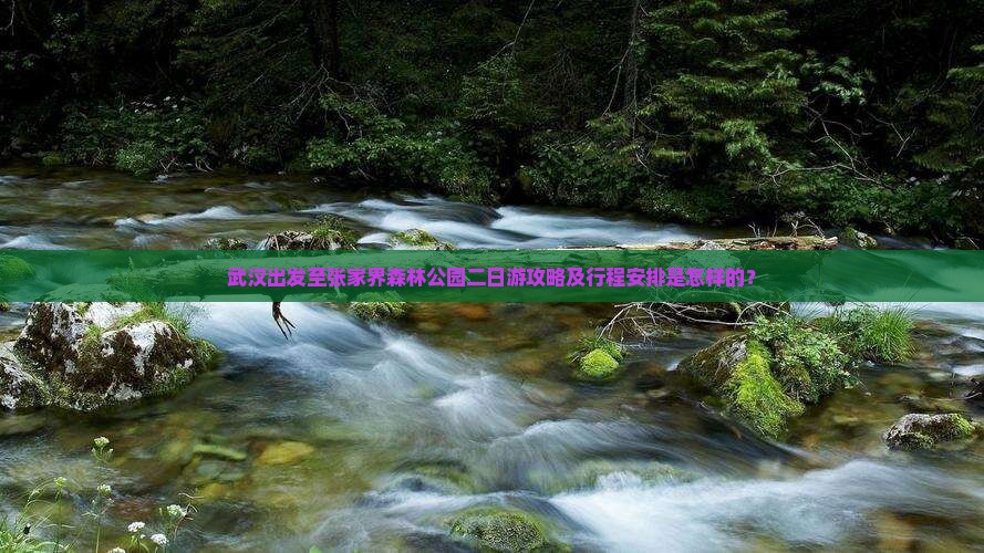 武汉出发至张家界森林公园二日游攻略及行程安排是怎样的？