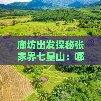 廊坊出发探秘张家界七星山：哪里值得一游