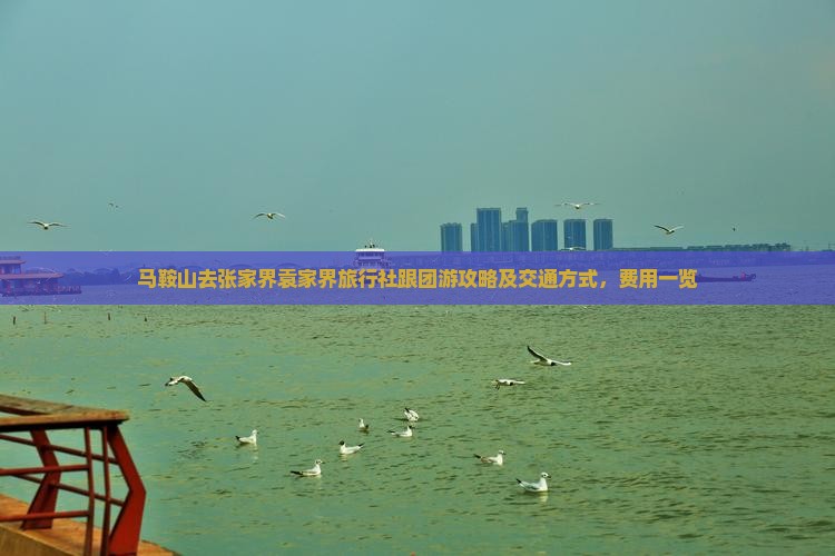 马鞍山去张家界袁家界旅行社跟团游攻略及交通方式，费用一览
