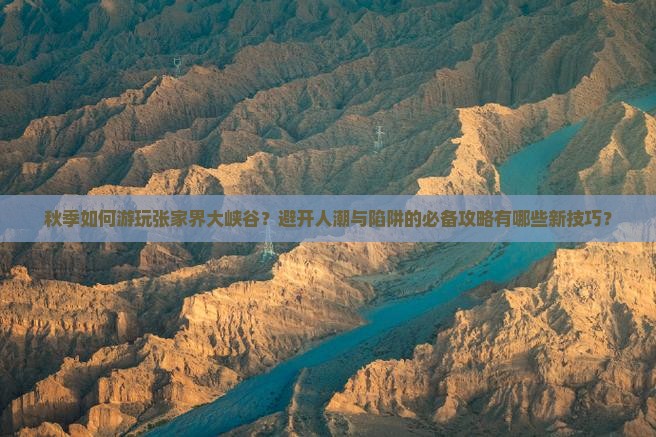 秋季如何游玩张家界大峡谷？避开人潮与陷阱的必备攻略有哪些新技巧？