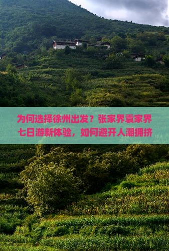 为何选择徐州出发？张家界袁家界七日游新体验，如何避开人潮拥挤，享受定制版旅行？