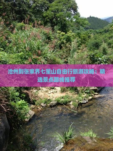 沧州到张家界七星山自由行旅游攻略：精选景点路线推荐