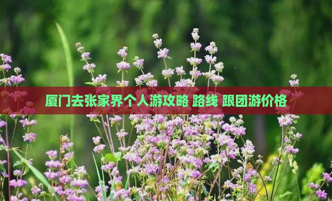厦门去张家界个人游攻略+路线+跟团游价格