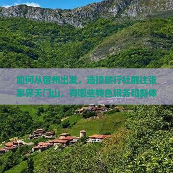如何从宿州出发，选择旅行社前往张家界天门山，有哪些特色服务和新体验？
