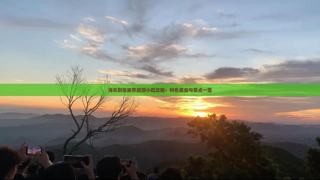 海东到张家界旅游小吃攻略：特色美食与景点一览
