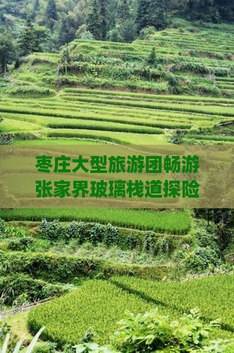 枣庄大型旅游团畅游张家界玻璃栈道探险之旅