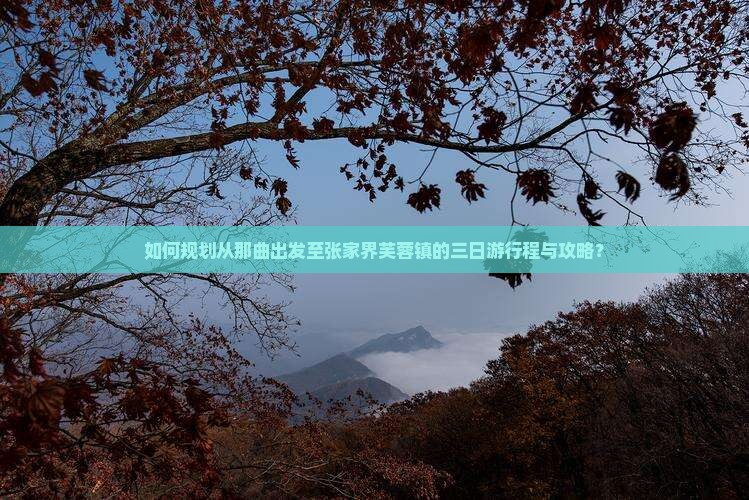 如何规划从那曲出发至张家界芙蓉镇的三日游行程与攻略？